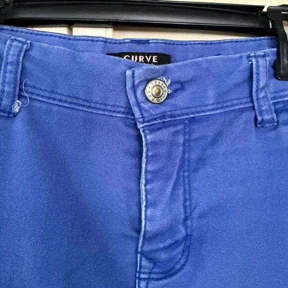 Curve Blue Ankle Pants - Picture 3 of 7